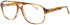 Joop 81247 glasses in Brown