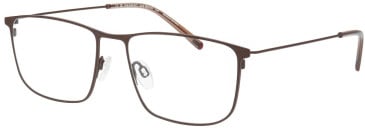 Menrad 15061 glasses in Brown