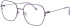 Menrad 15064 glasses in Purple