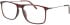 Menrad 16083 glasses in Brown