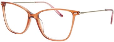 Menrad 16088 glasses in Brown