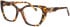 Morgan 200001 glasses in Brown