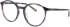 Morgan 200005 glasses in Purple