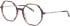 Morgan 202038 glasses in Brown/Purple