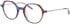 Morgan 202040 glasses in Purple/Brown Pattern
