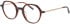 Morgan 202040 glasses in Brown