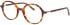 Morgan 202042 glasses in Brown