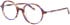 Morgan 202042 glasses in Brown/Purple