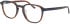 Jaguar 31530 glasses in Brown
