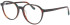 Jaguar 31531 glasses in Brown