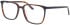 Jaguar 31532 glasses in Brown/Blue