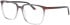 Jaguar 31532 glasses in Clear Grey/Red