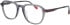 Jaguar 32506 glasses in Grey/Red