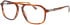 Jaguar 32507 glasses in Brown