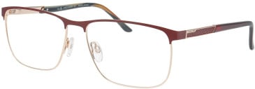 Jaguar 33129-61 glasses in Burgundy/Gold