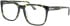 Jaguar 36845 glasses in Green Tortoise