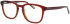 Joop 81245 glasses in Brown