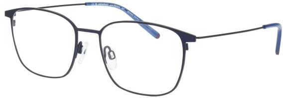 Menrad 15057 glasses in Blue