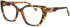 Morgan 200001 glasses in Brown