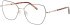 Morgan 200008 glasses in Black