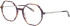 Morgan 202038 glasses in Brown/Purple