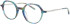 Morgan 202040 glasses in Blue/Green