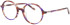 Morgan 202042 glasses in Brown/Purple