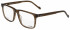 Joop 81215 glasses in Brown