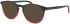 Jaguar 31511 sunglasses in Black