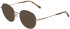 Morgan 203244 sunglasses in Black