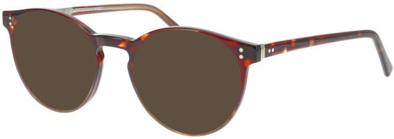 ProDesign Denmark Model 4770 sunglasses in Brown