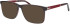 Jaguar 31034 sunglasses in Brown/Red