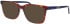Jaguar 31529 sunglasses in Brown/Blue