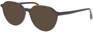 Jaguar 31531 sunglasses in Brown