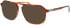 Jaguar 32507 sunglasses in Brown