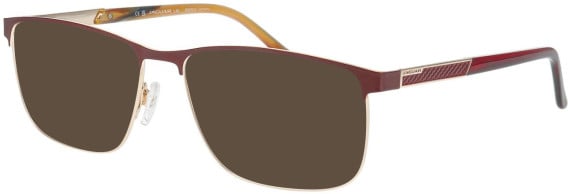 Jaguar 33129-58 sunglasses in Burgundy/Gold