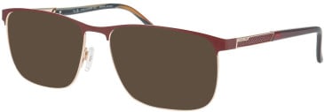 Jaguar 33129-61 sunglasses in Burgundy/Gold