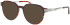 Jaguar 36841 sunglasses in Brown