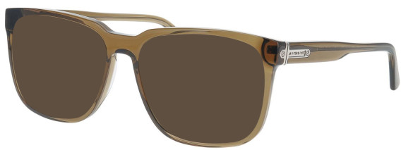 Jaguar 36845 sunglasses in Khaki