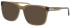 Jaguar 36845 sunglasses in Khaki