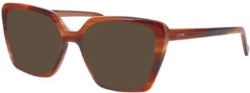 Joop 81240 sunglasses in Brown