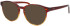 Joop 81242 sunglasses in Brown
