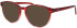 Joop 81242 sunglasses in Red