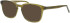 Joop 81245 sunglasses in Green