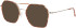 Joop 83356 sunglasses in Brown