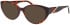 Morgan 200004 sunglasses in Brown