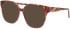 Morgan 200015 sunglasses in Pink/Brown