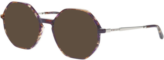 Morgan 202038 sunglasses in Brown/Purple