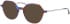 Morgan 202040 sunglasses in Purple/Brown Pattern