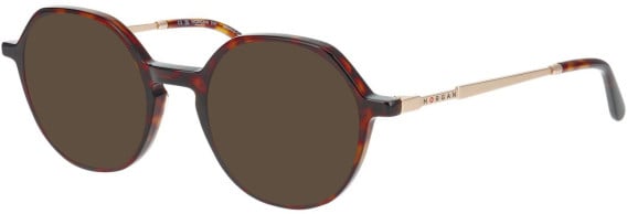 Morgan 202040 sunglasses in Brown